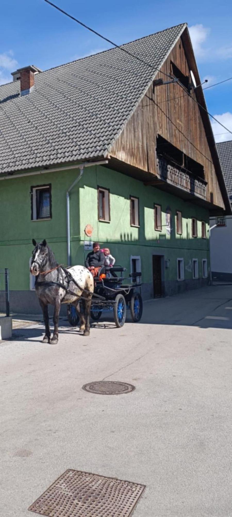 Ostello Sigma House Mojstrana Esterno foto